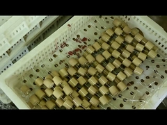 Hoogspannings40.5kvac-100pf 4000V Ceramische Condensator voor capacitieve isolatie